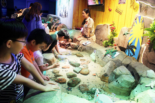 이미지 출처 : 드림스타트